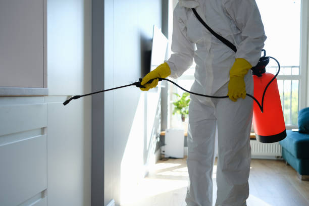 Trusted Northfield, KY Mold Removal Experts